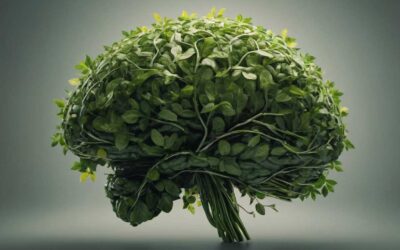 Les avantages des nootropiques naturels contre la fatigue mentale